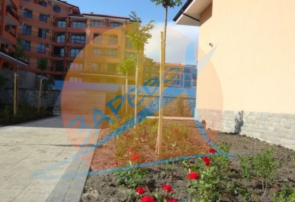 Стар Дриймс (Star Dreams), Свети Влас