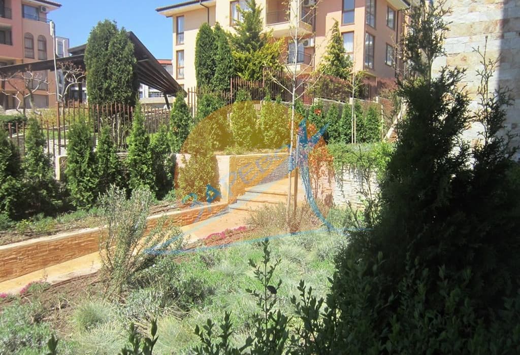 Артур / Arthur, Свети Влас