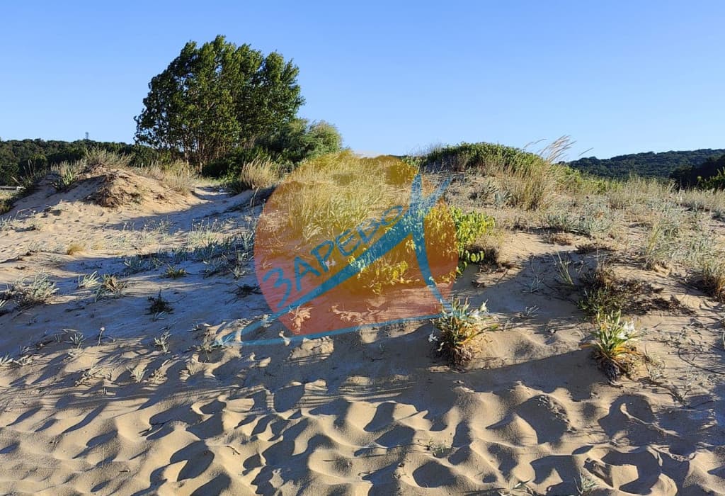 Грийн Лайф апартаменти под наем сезон 2025, дългосрочно. Green Life Private apartments Sozopol