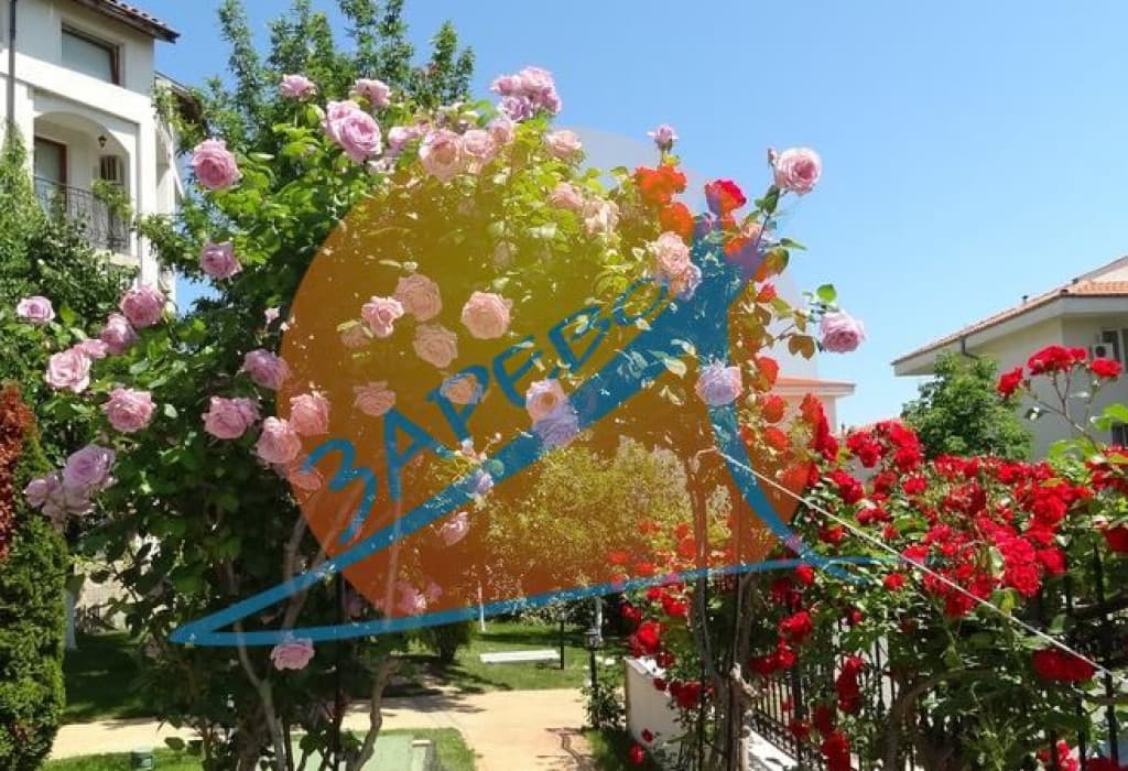 Триумф (Triumph), Свети Влас