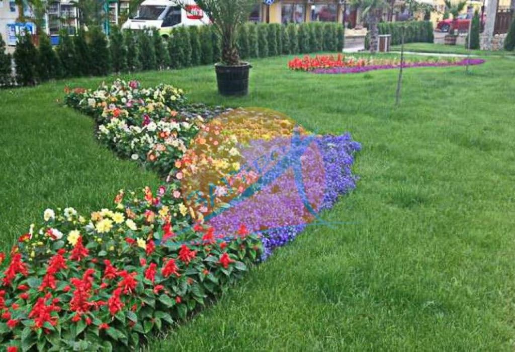 Олимп, Диневи, Свети Влас, апартаменти под наем