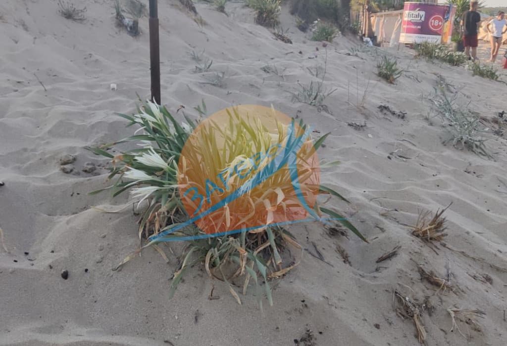 Созопол, Грийн лайф. Обзаведен тристаен с тераса с гледка кръглия басейн, готови документи за сделка!